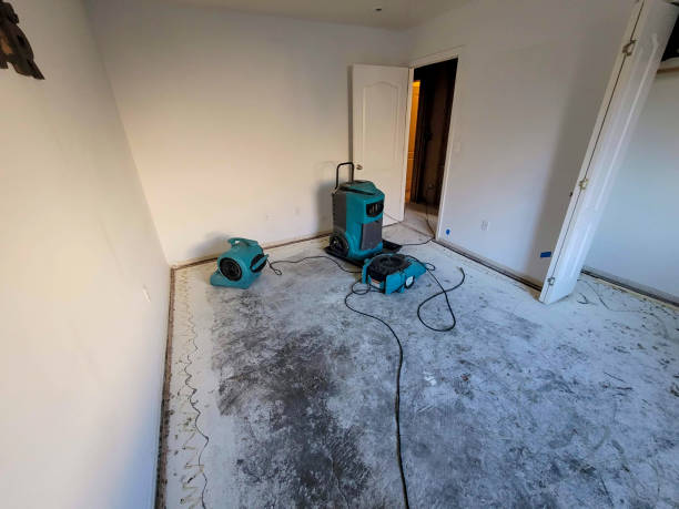 Best Local water damage restoration  in Waterford, CA