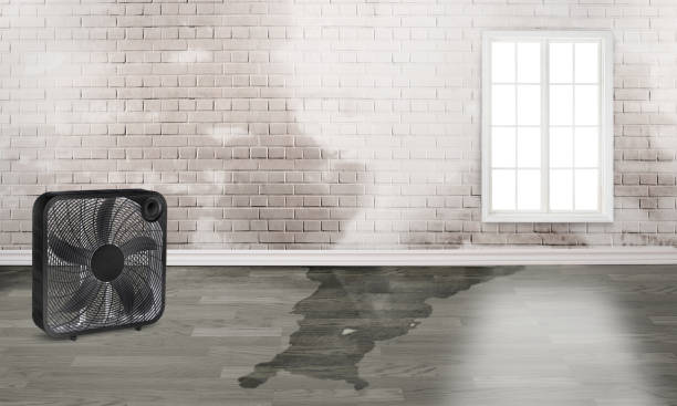 Best Water damage restoration process  in Waterford, CA
