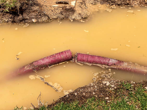 Best Sewage cleanup and water damage restoration  in Waterford, CA