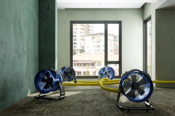 Best Water damage restoration near me  in Waterford, CA